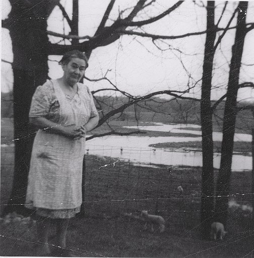 Nell Hollenbeck